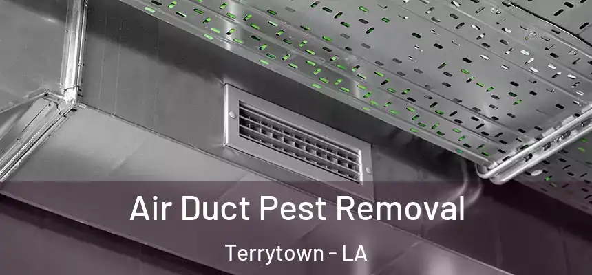  Air Duct Pest Removal Terrytown - LA