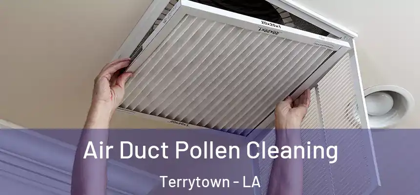 Air Duct Pollen Cleaning Terrytown - LA
