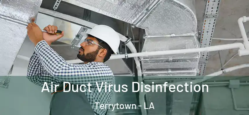  Air Duct Virus Disinfection Terrytown - LA