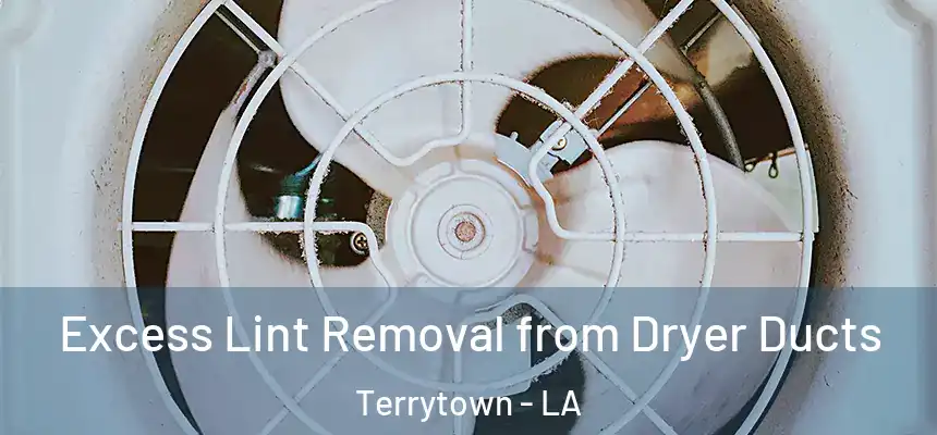  Excess Lint Removal from Dryer Ducts Terrytown - LA