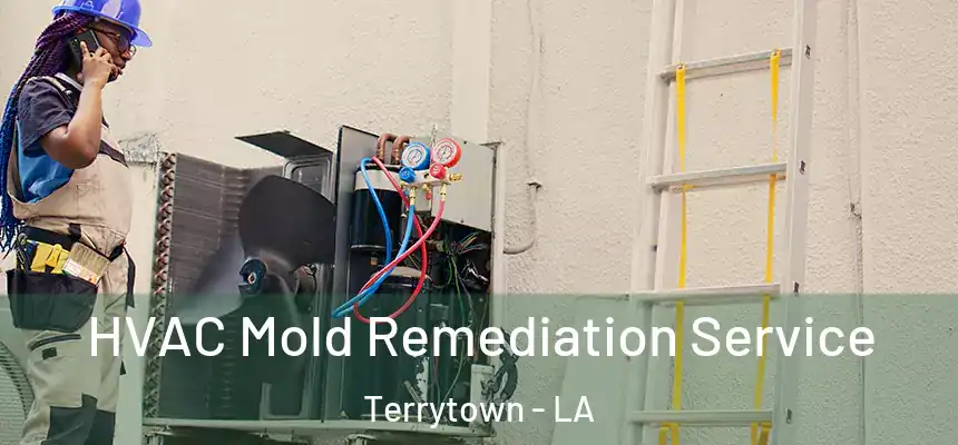  HVAC Mold Remediation Service Terrytown - LA