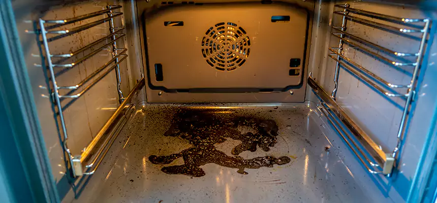 Our Dryer Vent Mold Cleaning Services in Terrytown, LA