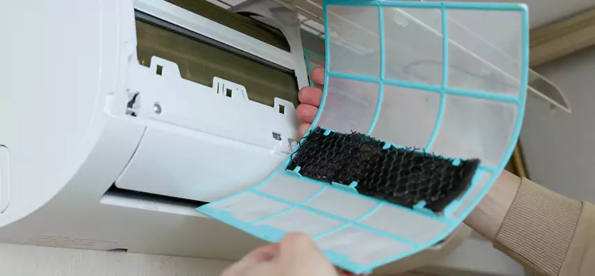 Gentle Ductwork Odor-Control Pet Dander Duct Cleaning in Terrytown, LA