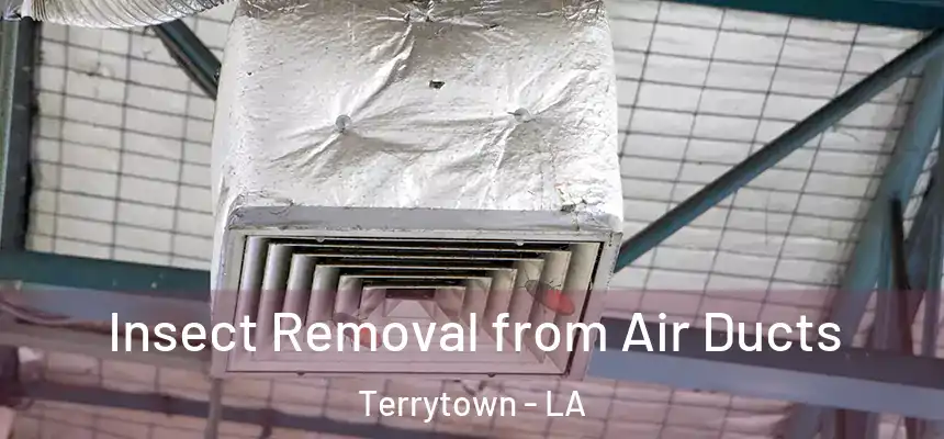  Insect Removal from Air Ducts Terrytown - LA