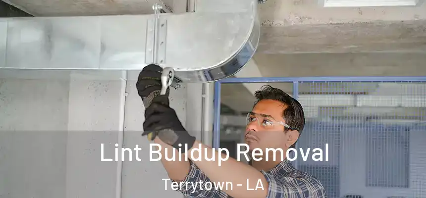  Lint Buildup Removal Terrytown - LA
