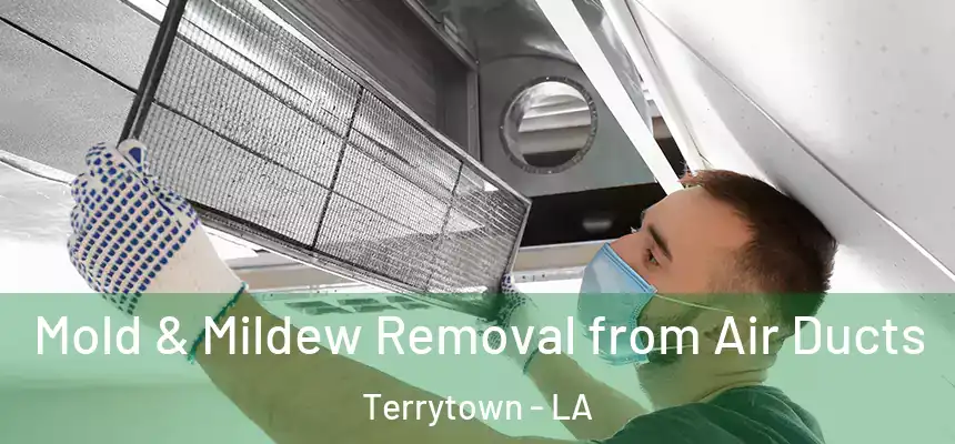  Mold & Mildew Removal from Air Ducts Terrytown - LA
