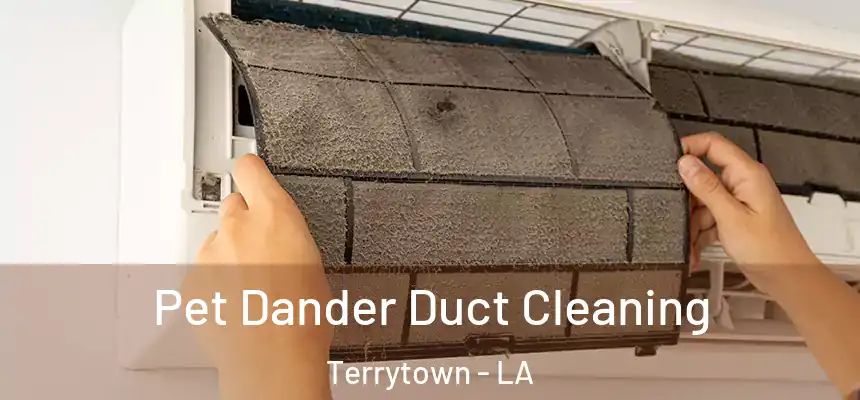  Pet Dander Duct Cleaning Terrytown - LA
