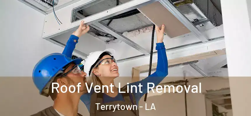  Roof Vent Lint Removal Terrytown - LA