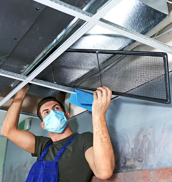 About Air Duct Bacteria Removal in Terrytown