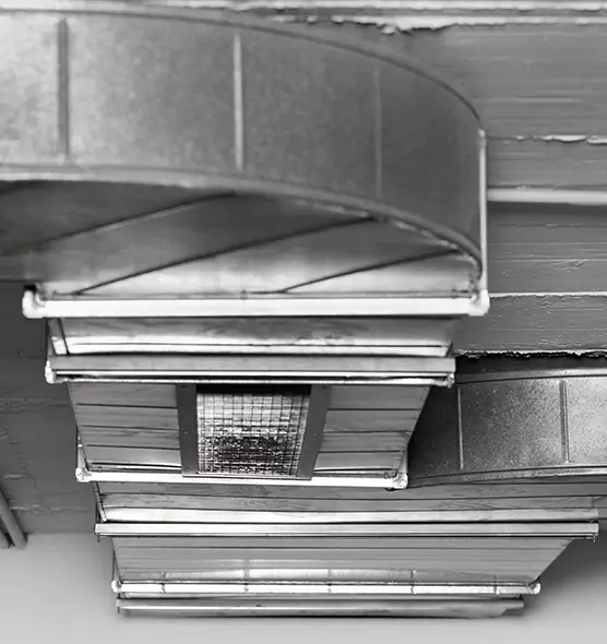 Professional Air Duct Pet Hair Removal in Terrytown, LA