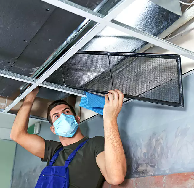 Why Homeowners Businesses Trust Us in Terrytown, LA